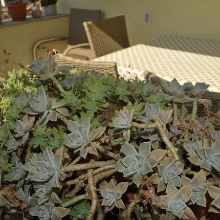 Three-room Near The Beach-zen דירה *