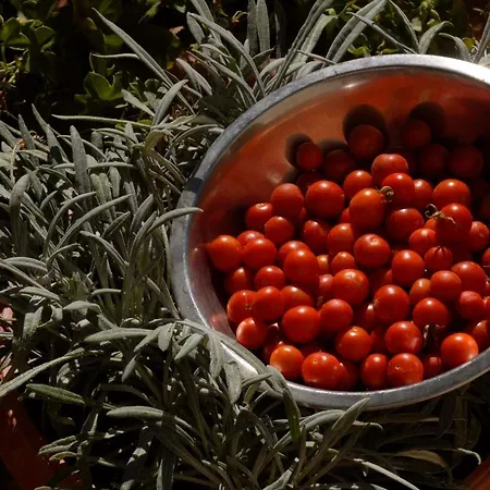 Three-room Near The Beach-zen