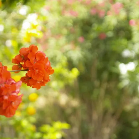 דירה Three-room Near The Beach-zen ברנה