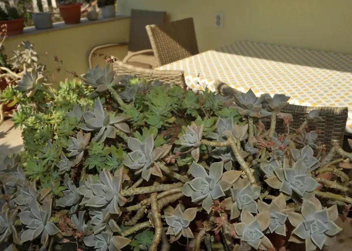 Three-room Near The Beach-zen 아파트 *