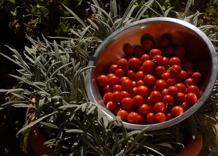 Three-room Near The Beach-zen