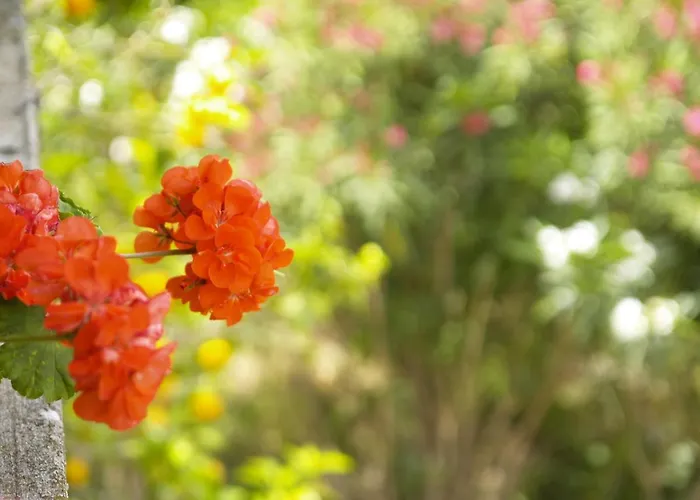 아파트 Three-room Near The Beach-zen 브르나